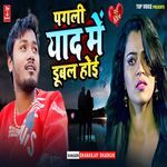 Pagali Yaad Me Dubal Hoi
