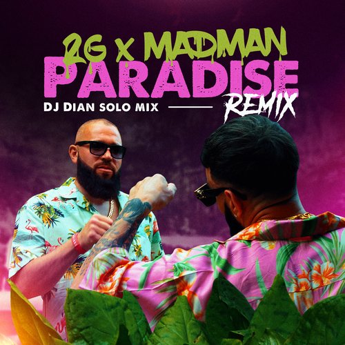 Paradise (Dian Solo Remix)_poster_image