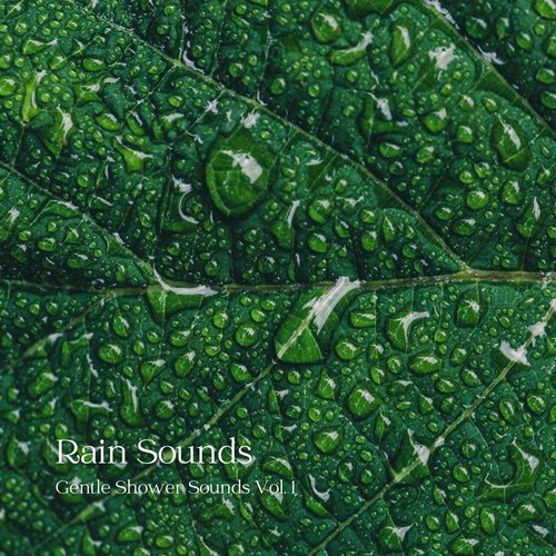 Exotic Birds Sounds in the Rain cover art