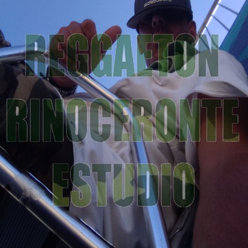 Reggaeton Rinoceronte Estudio