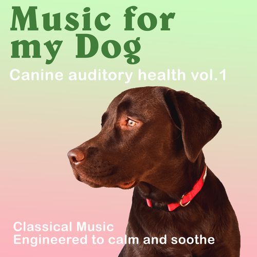 Relax My Dog cover art