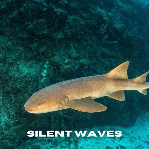 Silent Waves