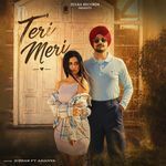 Teri Meri