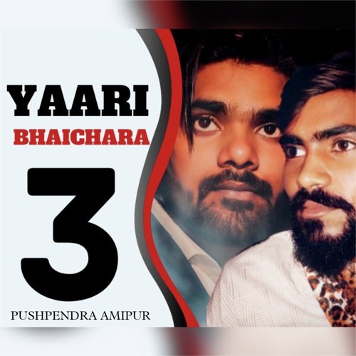 Yaari Bhaichara 3