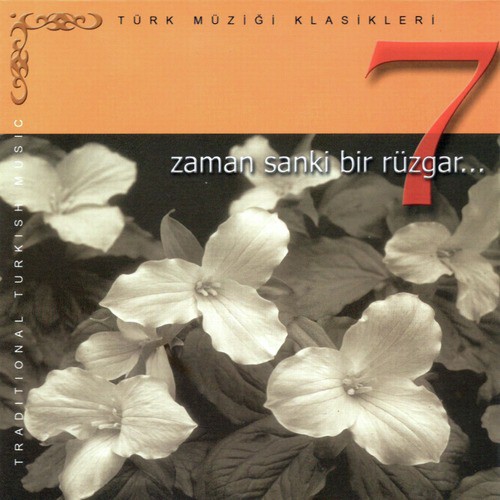 Arabaya Taş Koydum cover art