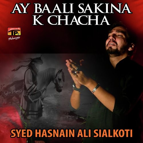 Syed Hasnain Ali Sialkoti