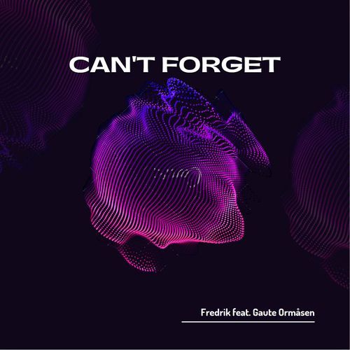 Can't Forget (feat. Gaute Ormåsen)