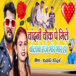 Chandni Chouk Pe Mile Bolabe Roje Bhore Bhor Ho-Ny8pYTFUY1c