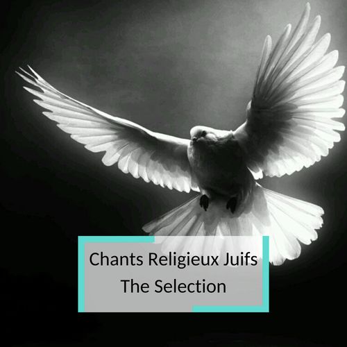 Chants Religieux Juifs - The Selection