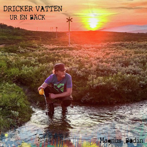 Dricker vatten ur en bäck
