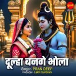 Dulha Bange Bhola