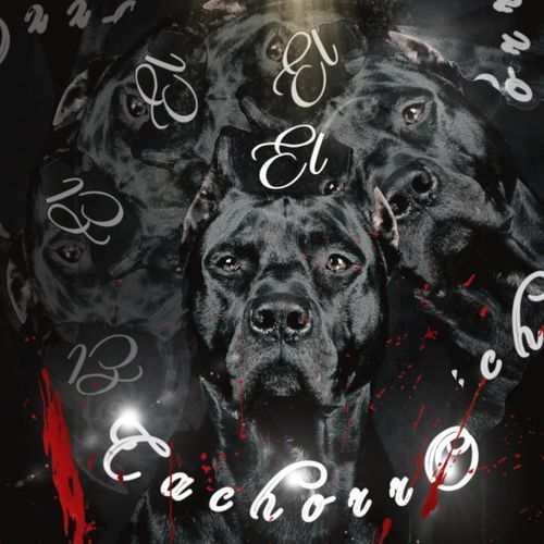 El Cachorro cover art