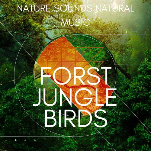 Forest Jungle Birds (Remastered)