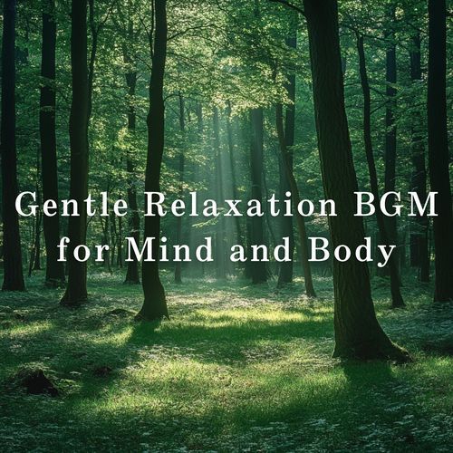 Gentle Relaxation BGM for Mind and Body_poster_image