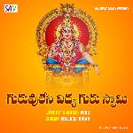 Guruvu Leni Vidya Guru Swamy