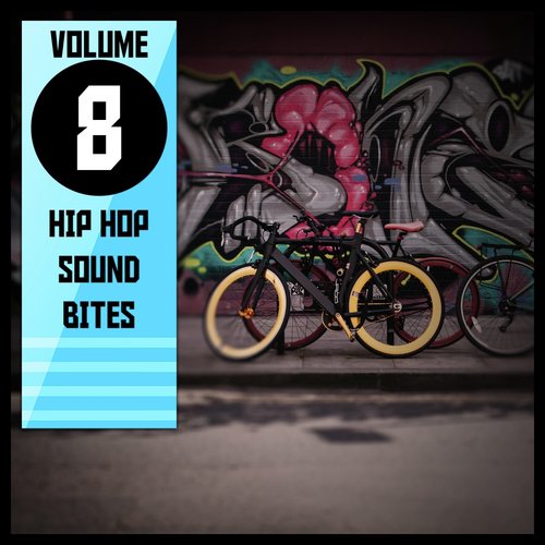 Hip Hop Sound Bites,Vol.8