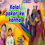 Kalai pakar ke kanha