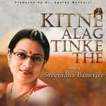 Kitne Alag Tinke The