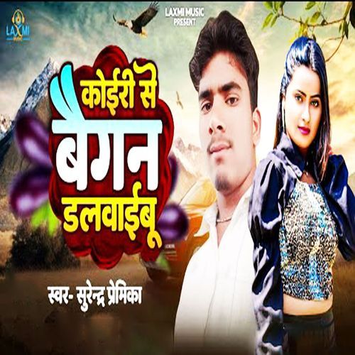 Koiri Se Baigan Dalwaibu