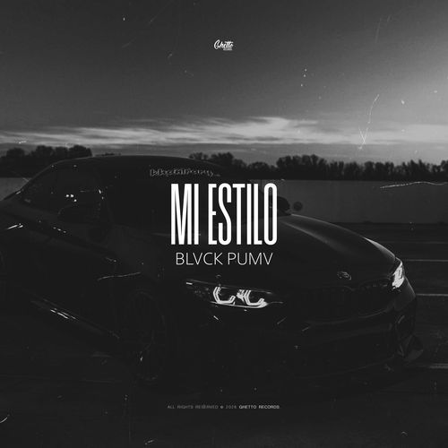 Mi Estilo