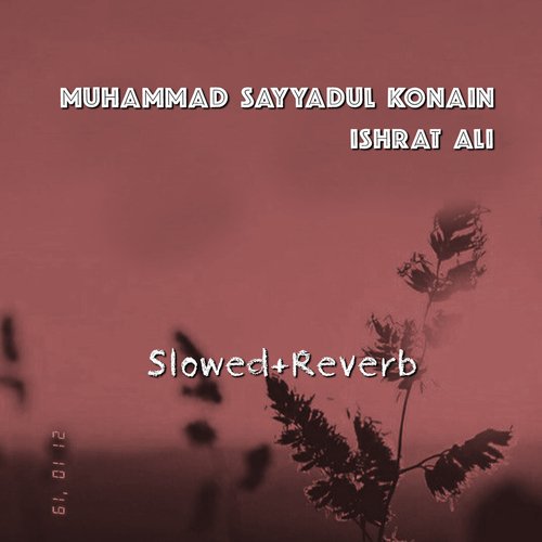 Muhammad Sayyadul Konain