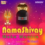 Namashivay Mahamantra