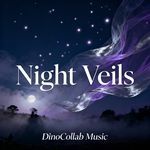 Night Veils