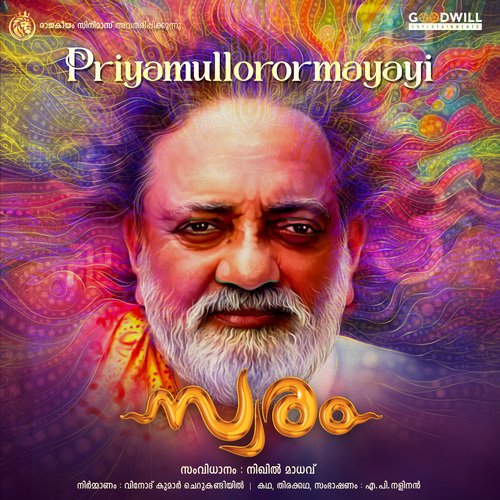 Priyamullorormayayi (From "Swaram")_poster_image