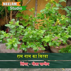 Ram naam ka birwa (hindi)