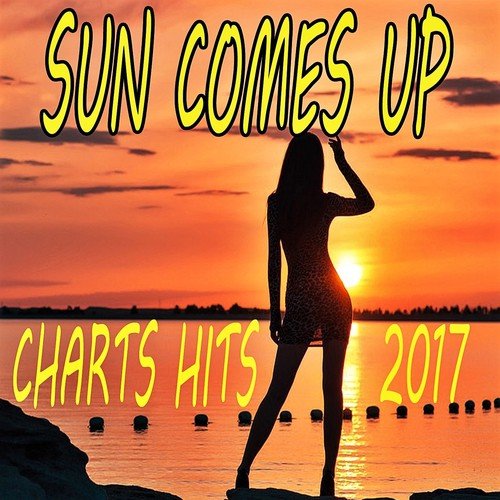 Charts Hits 2017