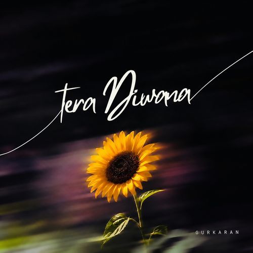 Tera Diwana