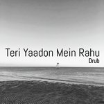Teri Yaadon Mein Rahu
