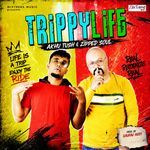 Trippy Life artwork