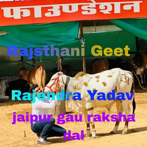 jaipur gau raksha dal
