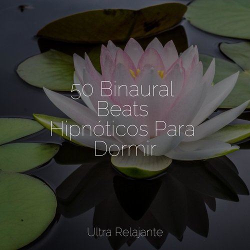 Fuente De Energía cover art