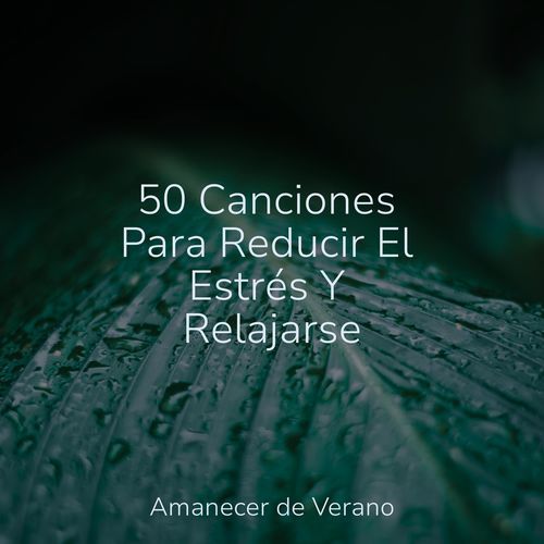Susurros en el Patio Encantado cover art