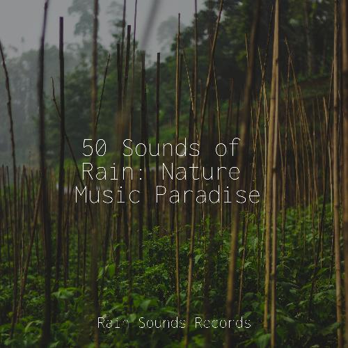 50 Sounds of Rain: Nature Music Paradise