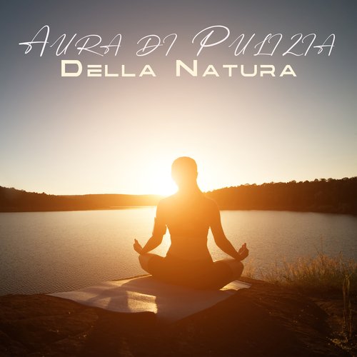 Aura di Pulizia Della Natura: sentirsi rilassati nei boschi, meditazione calmante nella natura_poster_image