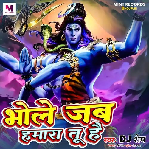 Bhole Jab Hamra Tu Hai