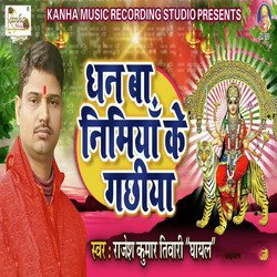 Dhan Ba Nimiya K Gachiya