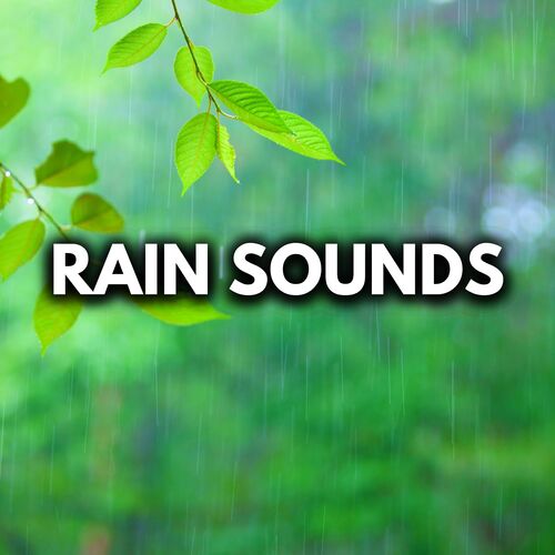 Heavy Rain Sounds For Sleep_poster_image