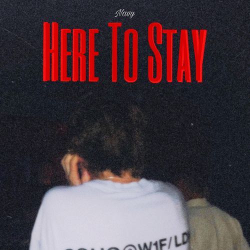 Here To Stay_poster_image