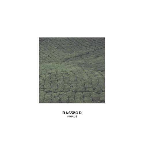 Spines cover art