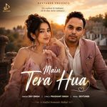 Main Tera Hua