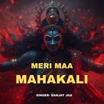 Meri Maa Mahakali
