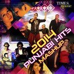 NYE Punjabi Hits - Mashup