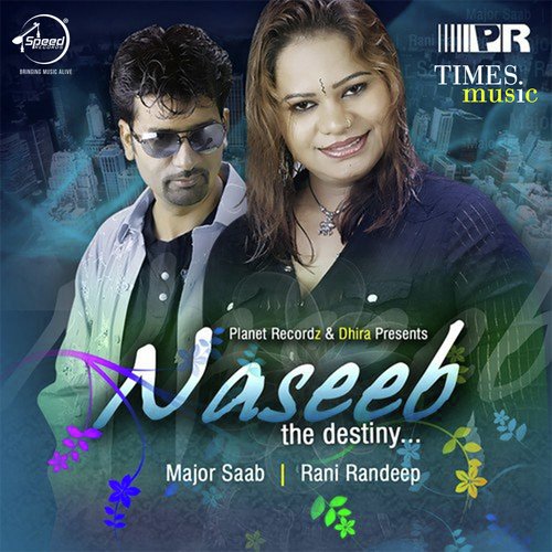 Naseeb - The Destiny