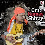 Om Namah Shivay - Single