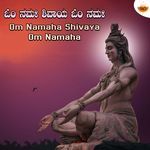 Om Namaha Shivaya Om Namaha