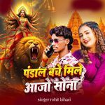 Pandal Bache Mile Ajo Sona